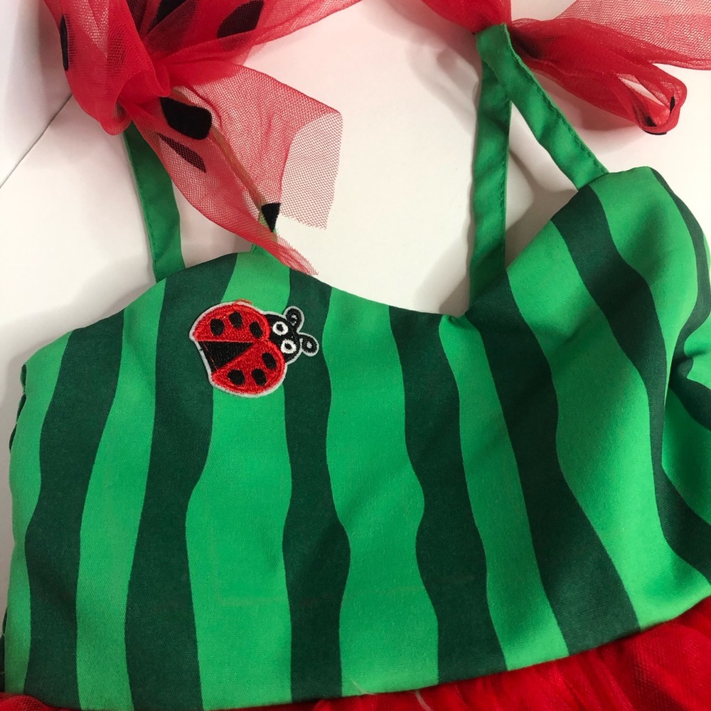 Baby Watermelon Dress - Picture 9 of 11